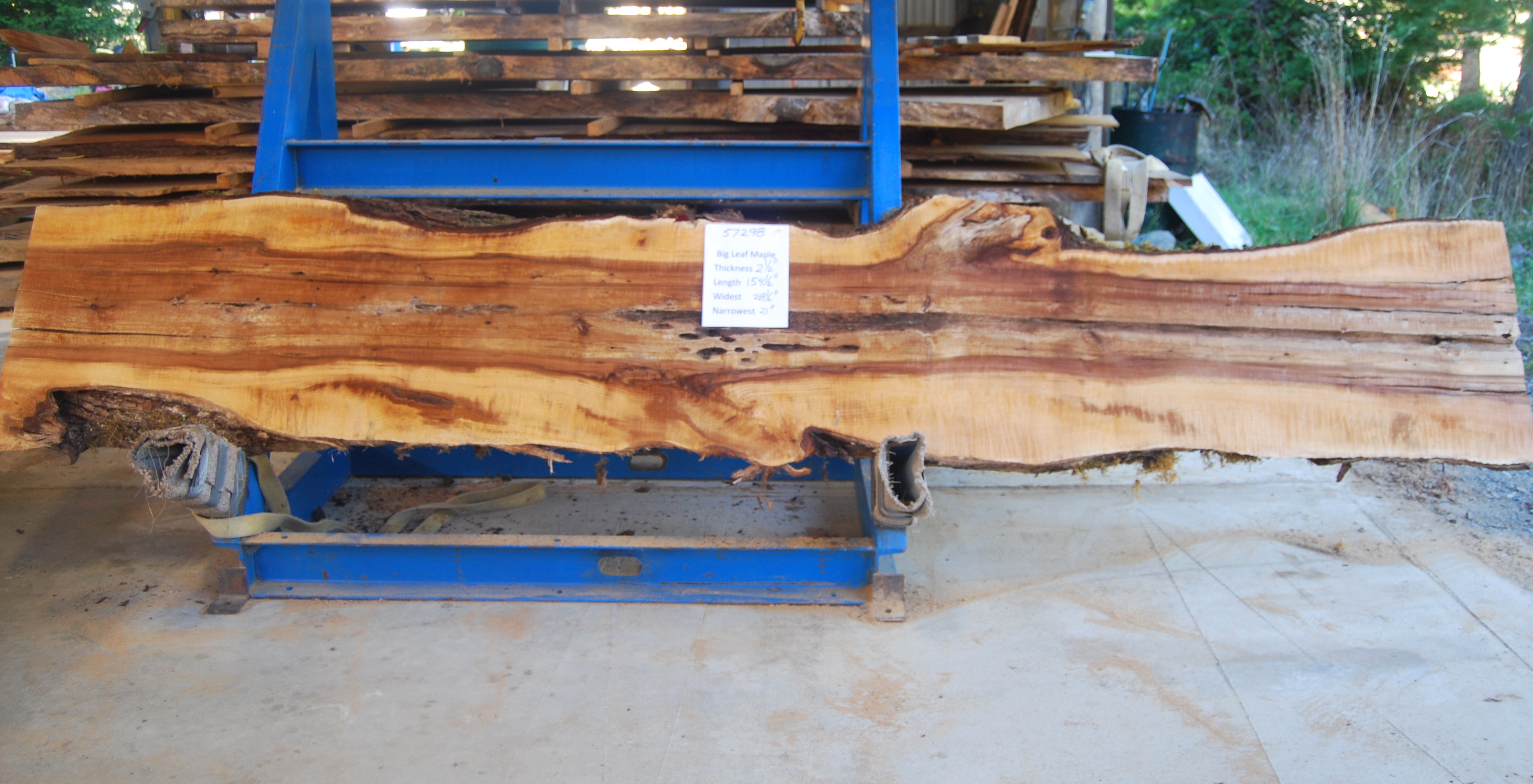 Maple Slab 57298