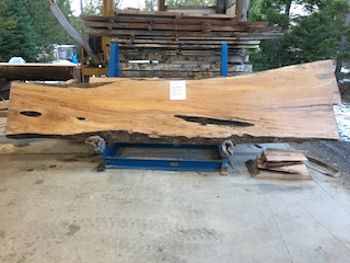 Maple Slab 57317