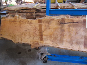 Maple slab 6060a