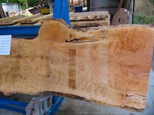 Maple slab 6060b