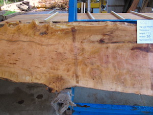 Maple slab 6061a