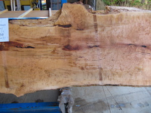 Maple slab 6061b