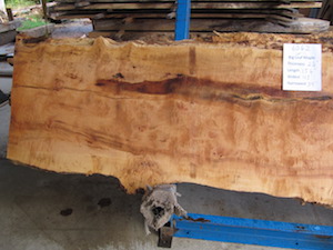 Maple Slab 6062a