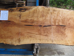 Maple Slab 6062b