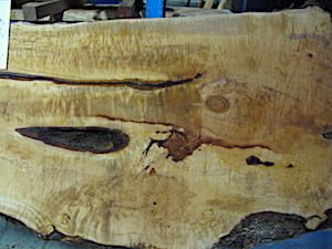 Maple Slab 6068b