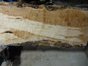 Maple Slab 6069b