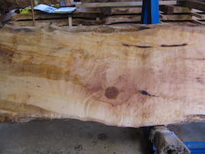 Maple Slab 6070a