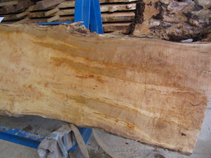 Maple Slab 6070b