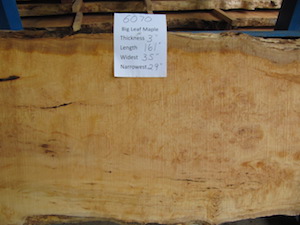 Maple Slab 6070