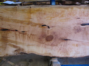 Maple Slab 6071a