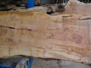 Maple Slab 6071b