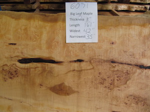 Maple Slab 6071