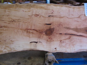 Maple Slab 6072a