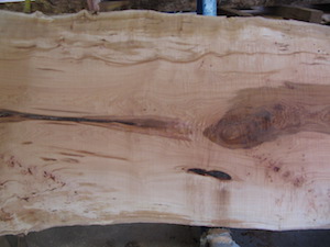 Maple Slab 6073a