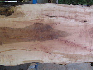 Maple Slab 6073b