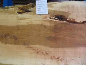 Maple Slab 6074