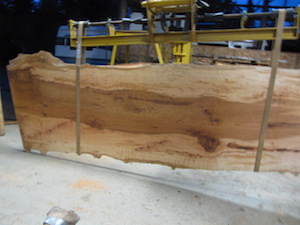 Maple Slab 6075a