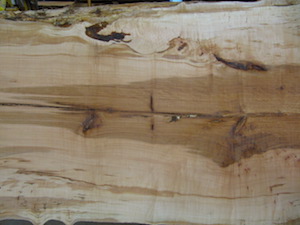 Maple Slab 6075b