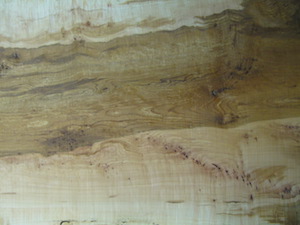 Maple Slab 6076b