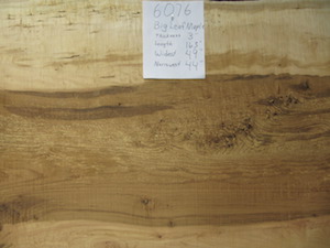 Maple Slab 6076