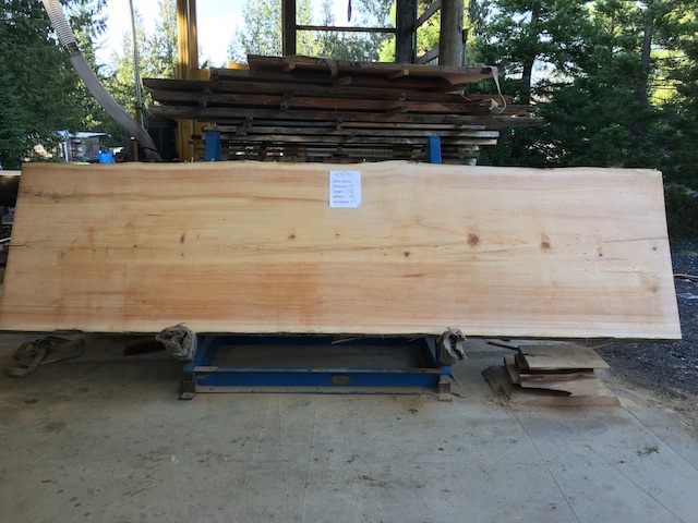 Spruce Slab 57290