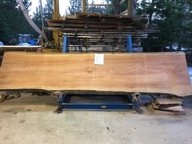 Spruce Slab 57285