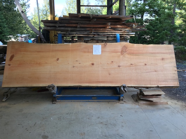 Spruce Slab 57288