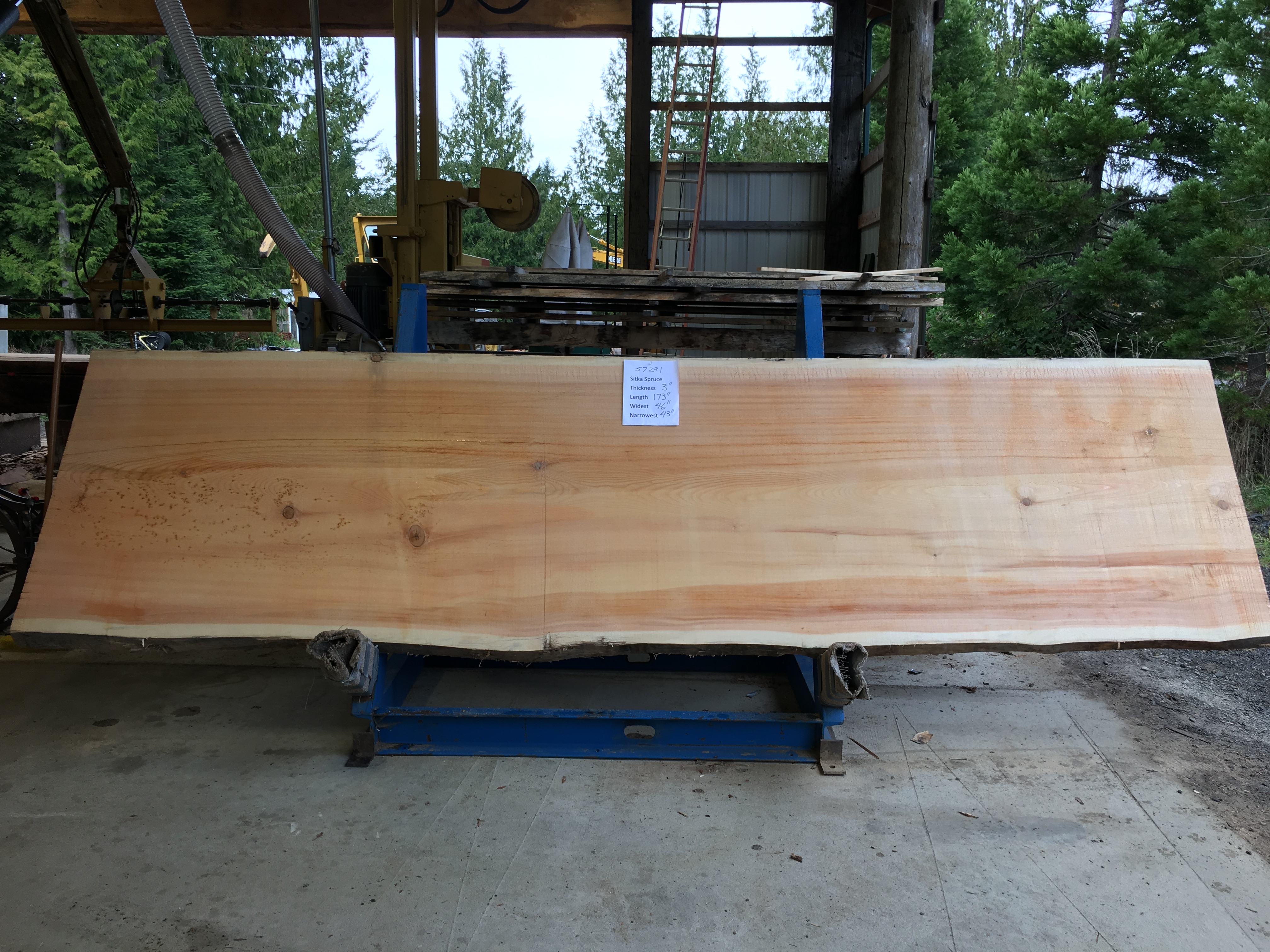 Spruce Slab 57291