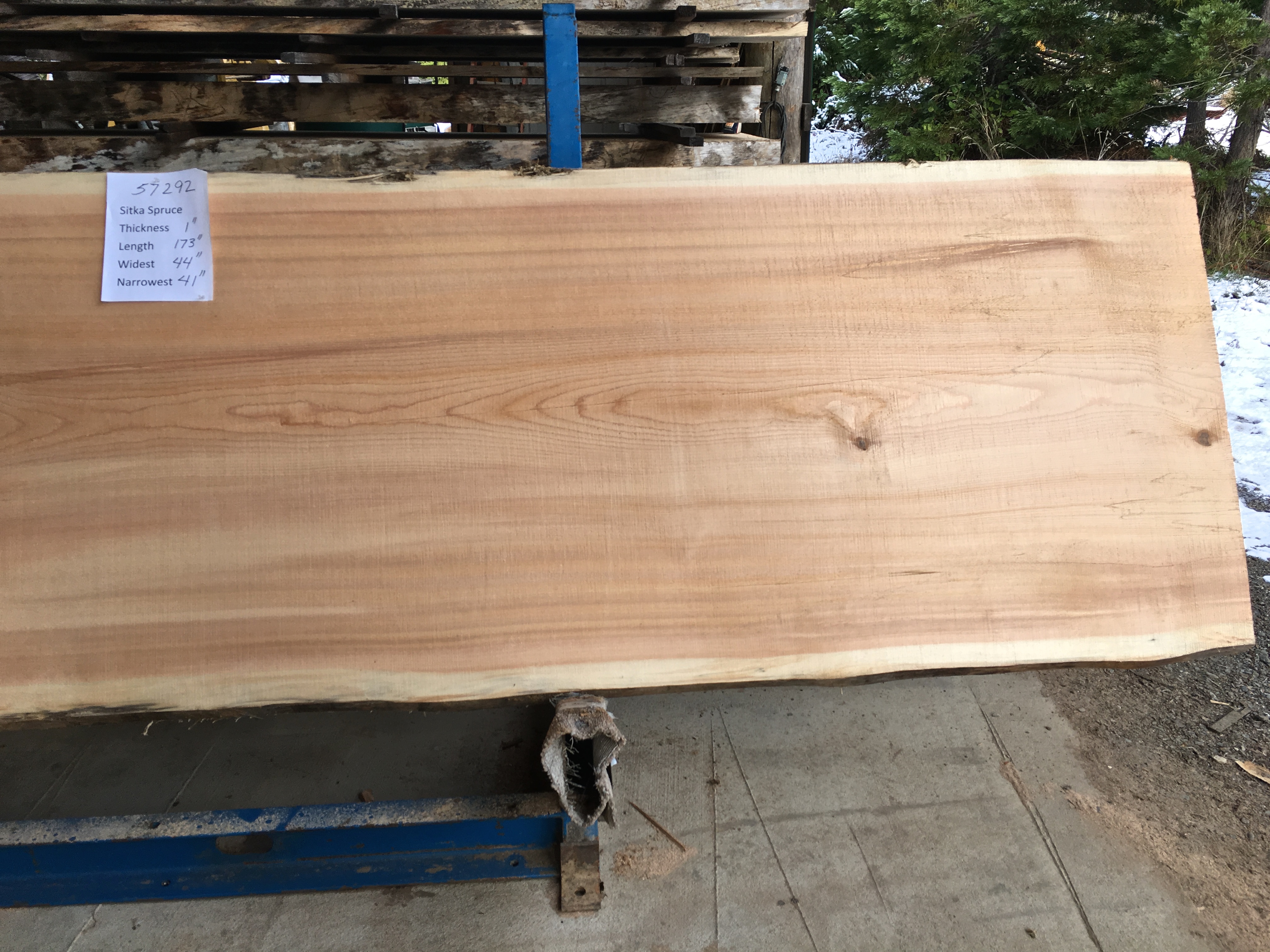 Spruce Slab 57292b