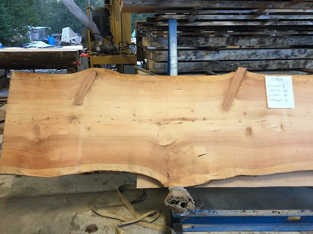 Spruce Slab 57318a